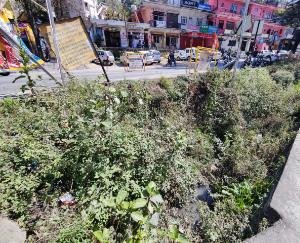 Dadlaghat: Lots of filth in the drain near UCO Bank