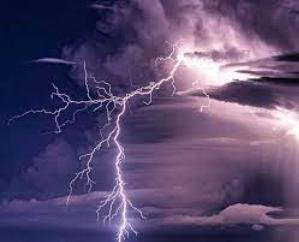Kangra: Goats died due to lightning 111
