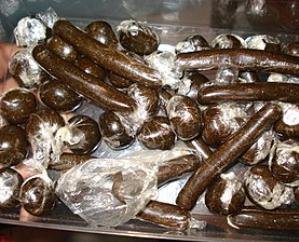 Dharamshala: 505 grams of charas recovered from a person in Mohli