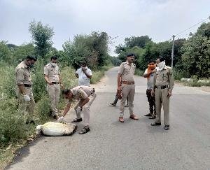 Indora: Panic spread in Changrada due to dead chickens thrown in a closed sack