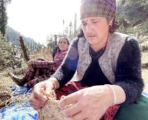 Important role of one district, one product to promote Himachali products: Chief Minister 111