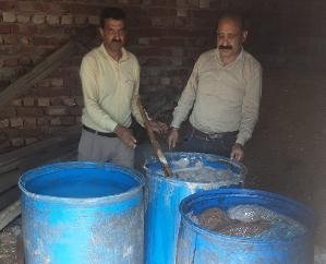 Kangra: 13000 liters of illicit liquor seized and destroyed in Noorpur