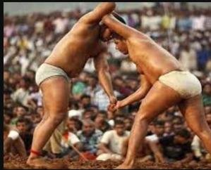 Dadasiba: Wrestling will be organized in Chatwal on June 8