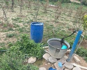Indora: Drinking water being given to vegetables, people are craving