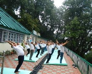 International Yoga Day celebrated at National Statistical Office Shimla