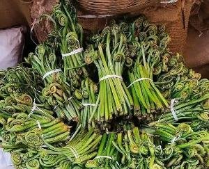 Have you also tasted the taste of Lingdi vegetable!