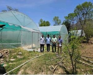 Dehra: Get 85 percent grant in Chief Minister's Nutan Polyhouse Scheme