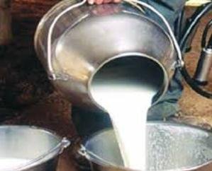 Him Ganga Yojana: 20 crore grant approved to the Milk Federation for the first phase