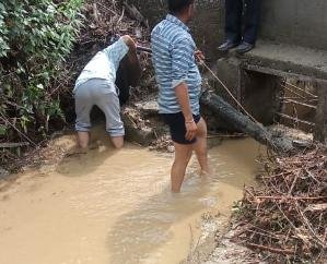 Shimla: Water supply will decrease in Shimla city due to siltation in water sources.
