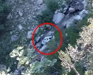 रामपुर में दर्दनाक सड़क हादसा, चार की मौत, एक गंभीर घायल