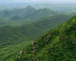 Green projects will get encouragement from Rajiv Gandhi Self Employment Scheme 111