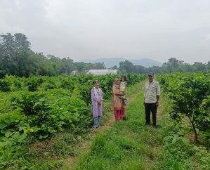  Dehra: Vijay Singh brightened the name of the area by doing natural farming