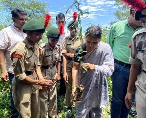 Dehra: Van Mahotsav started by planting saplings in Dhaliara College