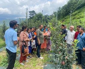 Solan: Krishi Vigyan Kendra Kandaghat celebrated Apple Day