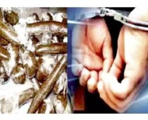 नादौन पुलिस ने नाके के दौरान पकड़ी 12.19 ग्राम चरस