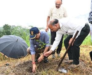 Van Mahotsav celebrated in Nauni University, 4000 saplings will be planted in the campus