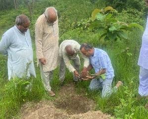 Jaswan-Paragpur: BJP Mandal planted 51 medicinal plants in village Kasba Kotla