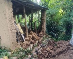 Dada Siba: The walls of the cattle shed collapsed in the mud, animals narrowly survived