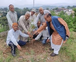 Kunihar: Pensioners and Senior Citizens Welfare Organization celebrated Van Mahotsav
