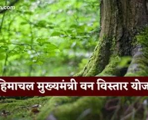 State's ecology will be protected by Chief Minister's Forest Extension Scheme