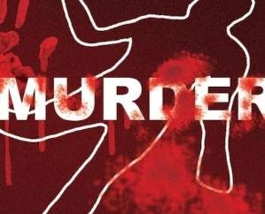 Solan: Murder of two brothers in broad daylight in Nalagarh