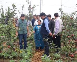 Horticulture Secretary reviewed research on natural farming
