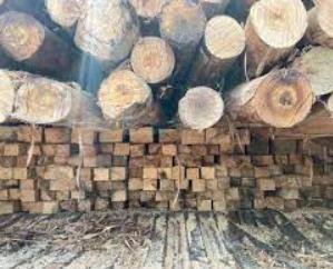 Dehra: Sansarpur Terrace police caught a truck full of wood during the blockade
