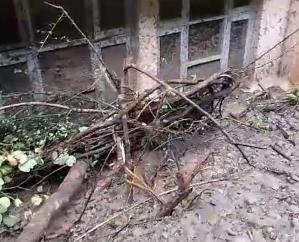 Kasauli: Debris entered inside by breaking the doors and windows of Kot Beja school