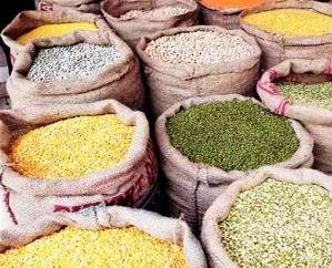 Pulses missing from ration depots of Dehra sub-division