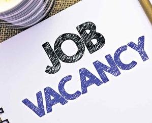 Campus interview for 242 posts in District Employment Office Solan on 31