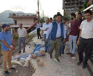 Solan: The state government will help the affected people: Jagat Singh Negi