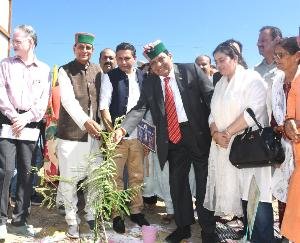 Solan: It is necessary to plant trees according to the climate: Dr. Shandil