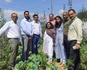 Trainees observed natural farming demonstration model in Mashobra