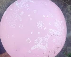  बिलासपुर की दांवी घाटी जुखाला में  गुबारा मिलने से दहशत का माहौल