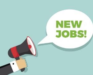 बेरोज़गारो क लिए सुनेहरा मौका, 11 फरवरी को होगा साक्षात्कार 