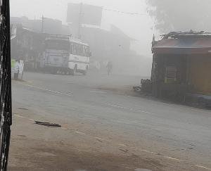 कुनिहार में कोहरे का कहर 