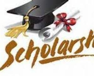 Registration process for three scholarships for disabled people started 111