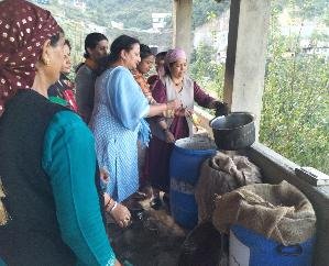 Solan: Farmers learned the tricks of natural farming