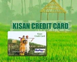 'House-to-house KCC campaign' being run till 31st October 123