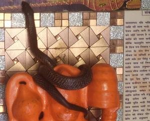 Kunihar: The snake god remained clinging to the idol of Hanuman ji for hours.