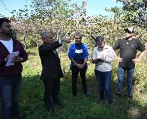 International experts visited Nauni and surrounding areas for cooperation in kiwi fruit production.