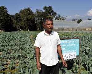  Balbir Saini became a new example of self-reliance for the youth.