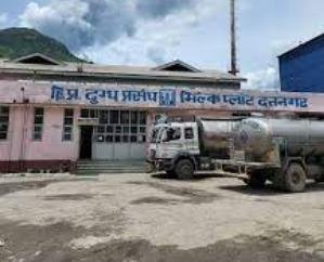  Milk Federation will make pure desi ghee sweets available in the market on Diwali.123