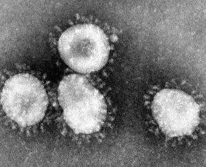 एतियात व सही जानकारी ही कोरोना वायरस से बचाव - डाॅ० प्रकाश दरोच