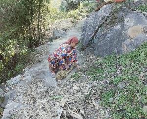 धुन्दन के टुयरु वार्ड में चलाया सफाई अभियान