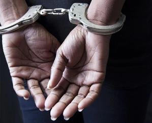  Solan: Police arrested accused of cheating of lakhs from Mohali