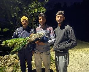 The youth of Kaloha showed generosity