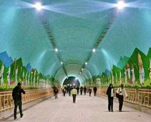 Shimla: Chief Minister Sukhu will inaugurate double lane tunnel in Shimla today 369