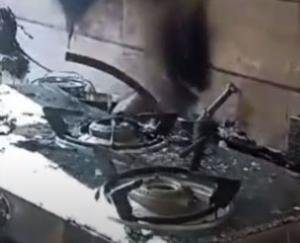  Shimla: Cylinder explodes in Kotkhai SDM's residence, officer admitted to hospital 123