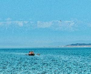  Dharamshala: Solar boats to run in Paung dam soon, online portal will be ready 123